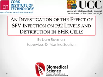 What is p32?  32 kDa protein    Also known as pre-mRNA splicing    factor SF2-associated