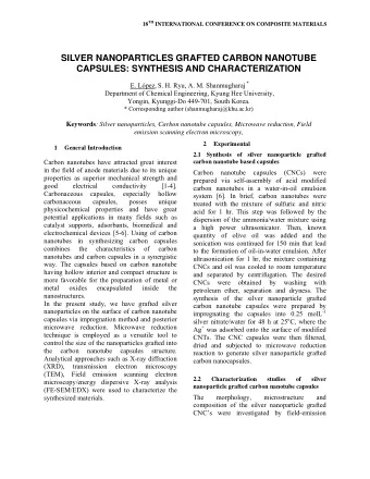 SILVER NANOPARTICLES GRAFTED CARBON NANOTUBE  CAPSULES: SYNTHESIS AND CHARACTERIZATION E. Lpez,