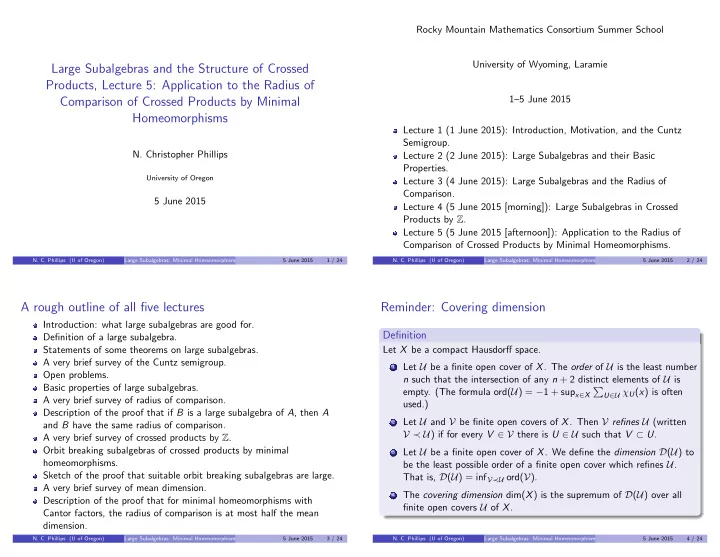 large subalgebras and the structure of crossed products