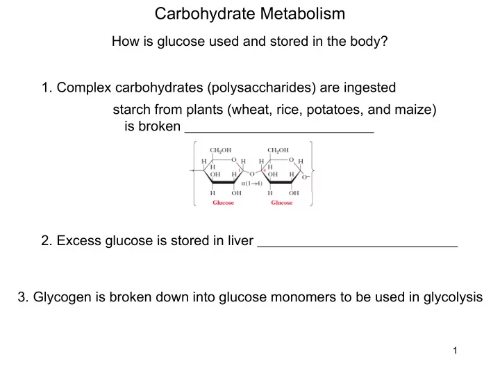 carbohydrate metabolism