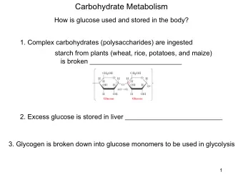 Carbohydrate Metabolism  How is glucose used and stored in the body?  1. Complex carbohydrates
