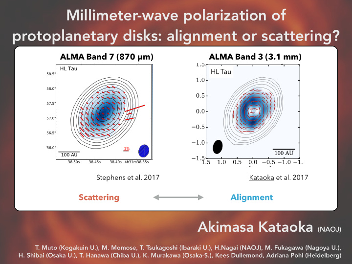 millimeter wave polarization of protoplanetary disks