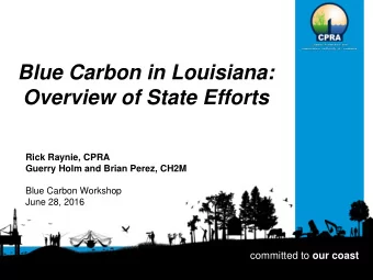Blue Carbon in Louisiana:  Overview of State Efforts  Rick Raynie, CPRA  Guerry Holm and Brian