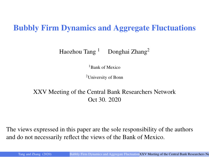 bubbly firm dynamics and aggregate fluctuations