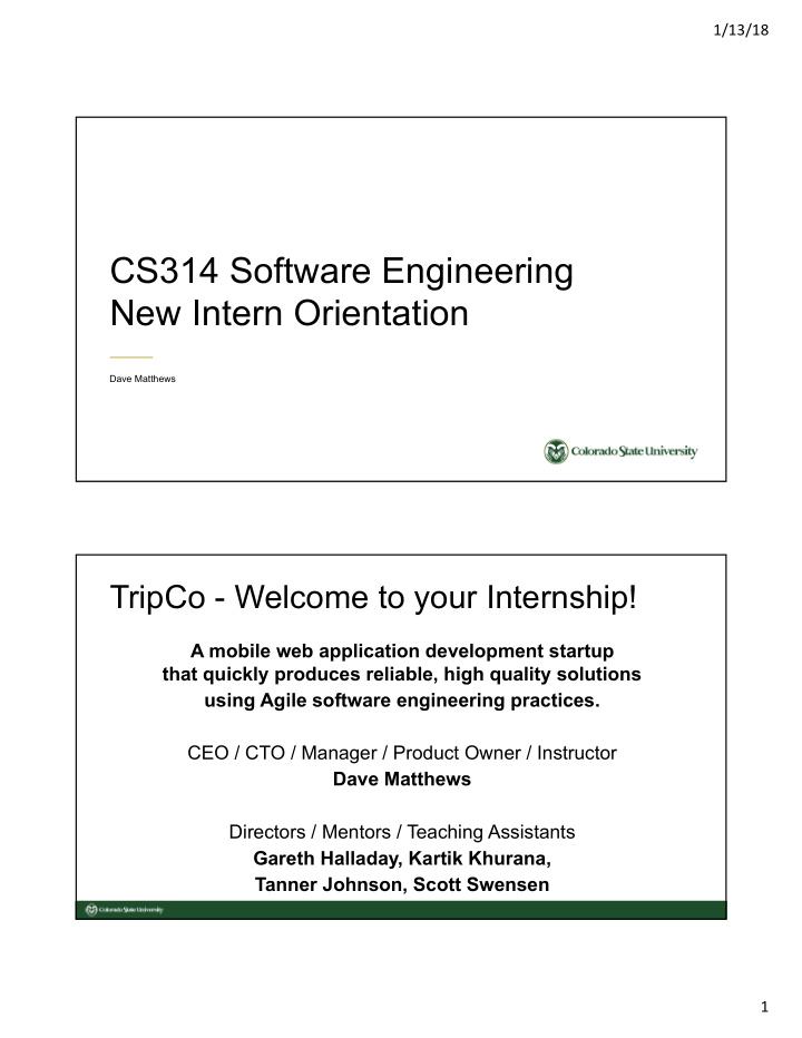 cs314 software engineering new intern orientation