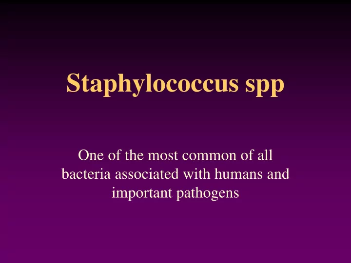 staphylococcus spp