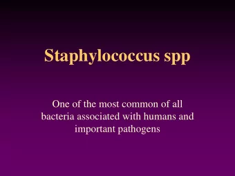 Staphylococcus spp  One of the most common of all  bacteria associated with humans and  important