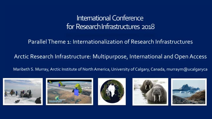 parallel theme 1 internationalization of research