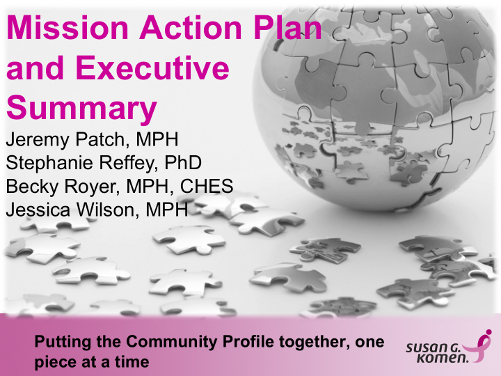 mission action plan and executive summary