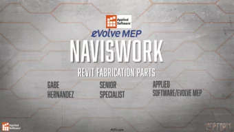 Setup Coordination Views  Export NWC (Settings)  Selection and Search Sets  Appearance