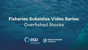 Main approach  Overfished Stocks  Fisheries subsidies are prohibited when a stock is overfished
