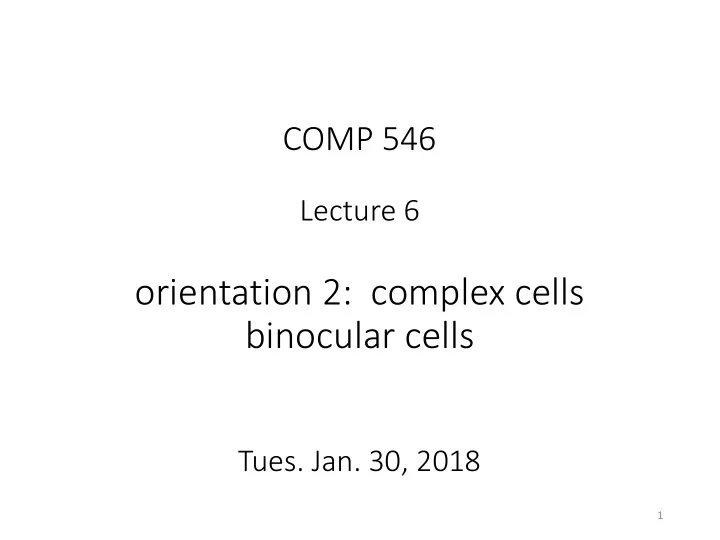 binocular cells