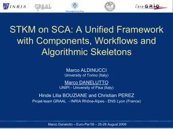 STKM on SCA: A Unified Framework  with Components, Workflows and  Algorithmic Skeletons  Marco