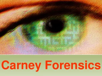 Carney Forensics  How to Keep a Network Safe at Little to No Cost  Minnesota CLE: Paralegal Program