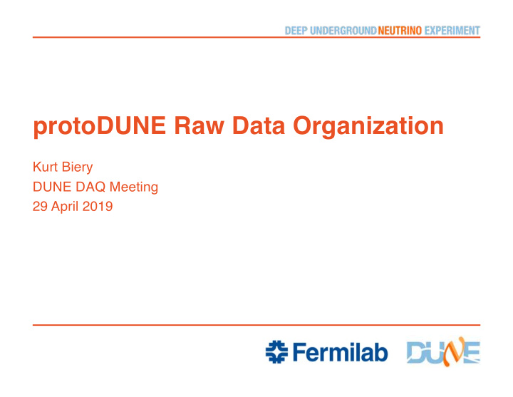 protodune raw data organization