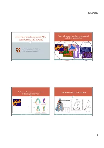 Molecular mechanisms of ABC  multidrug transporters  transporters and beyond  Ion-coupled  ABC