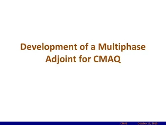 Development of a Multiphase  Adjoint for CMAQ  CMAS  October 11, 2010  The team    Carleton