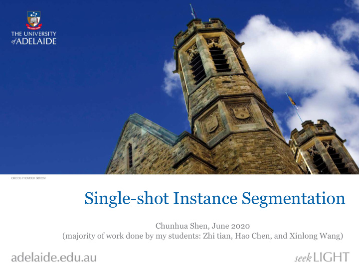single shot instance segmentation
