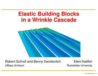 Elastic Building Blocks  in a Wrinkle Cascade  Robert Schroll and Benny Davidovitch  Eleni Katifori