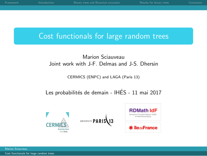 cost functionals for large random trees