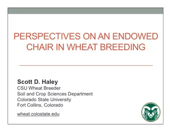 PERSPECTIVES ON AN ENDOWED CHAIR IN WHEAT BREEDING  Scott D. Haley  CSU Wheat Breeder  Soil and