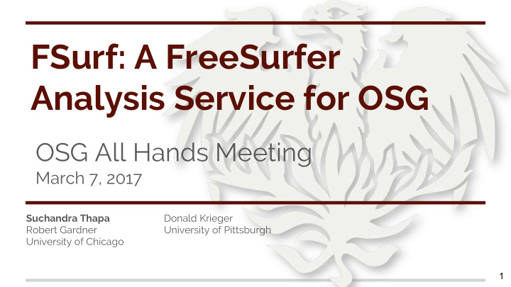 fsurf a freesurfer analysis service for osg