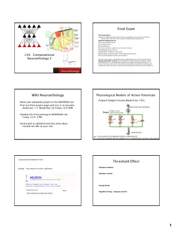 1  Different Firing Patterns for Different  Cells  H-H model results  simulated propagated spike