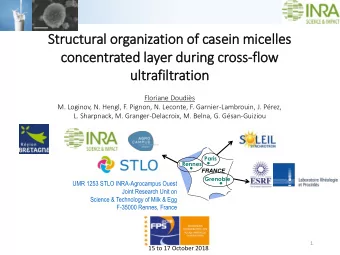 ult  ltrafil  iltration  Floriane Doudis  M. Loginov, N. Hengl, F. Pignon, N. Leconte, F.