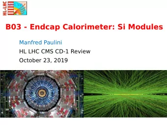 B03 - Endcap Calorimeter: Si Modules  Manfred Paulini  HL LHC CMS CD-1 Review  October 23, 2019