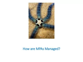 How ar  are MPAs Man  anaged?  MPA management  Mean High Water  Mean Low Water Intertidal Zone