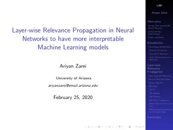 Layer-wise Relevance Propagation in Neural  Neural Networks  Deep Learning  Shortcomings  Networks