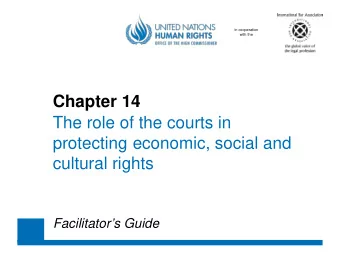 Chapter 14  The role of the courts in  protecting  economic, social and  cultural rights