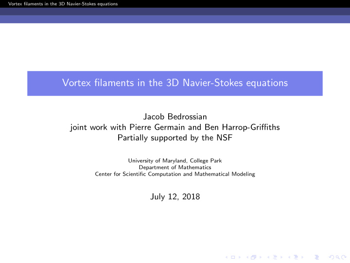 vortex filaments in the 3d navier stokes equations