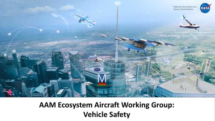 aam ecosystem aircraft working group