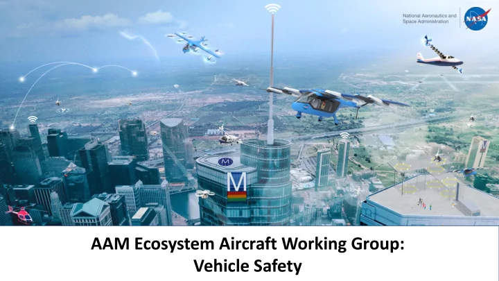 aam ecosystem aircraft working group