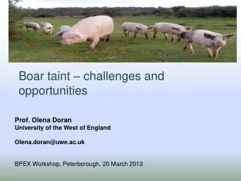 Boar taint  challenges and  opportunities  Prof. Olena Doran  University of the West of England