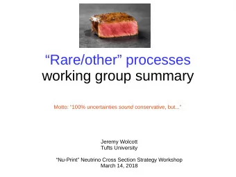 Rare/other processes  working group summary Motto: 100% uncertainties sound conservative,