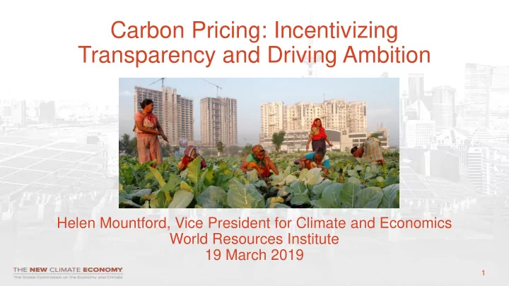 helen mountford vice president for climate and economics