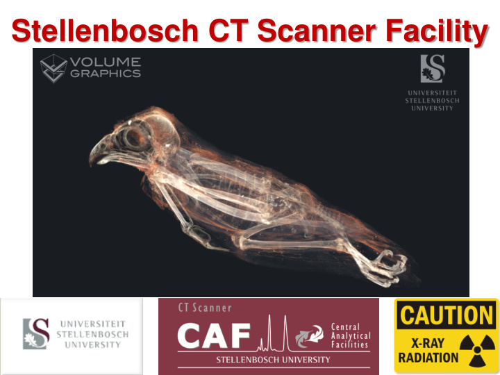 stellenbosch ct scanner facility what is ct scanning