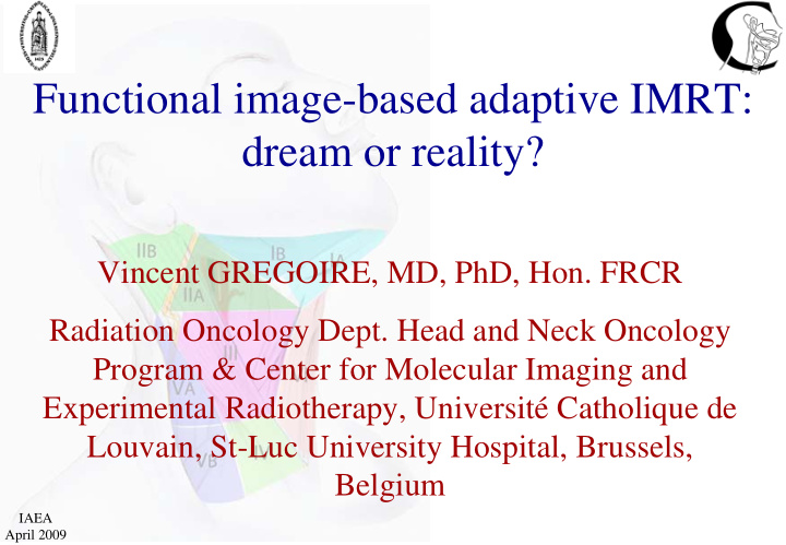 functional image based adaptive imrt dream or reality