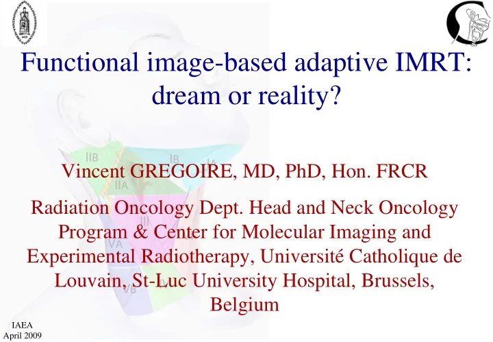 functional image based adaptive imrt dream or reality