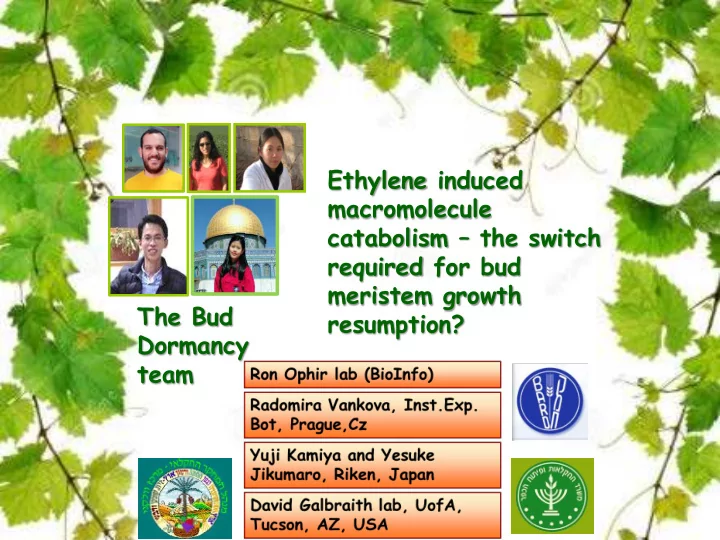 regu egulation on of of gr grape e bud d dor ormancy cy