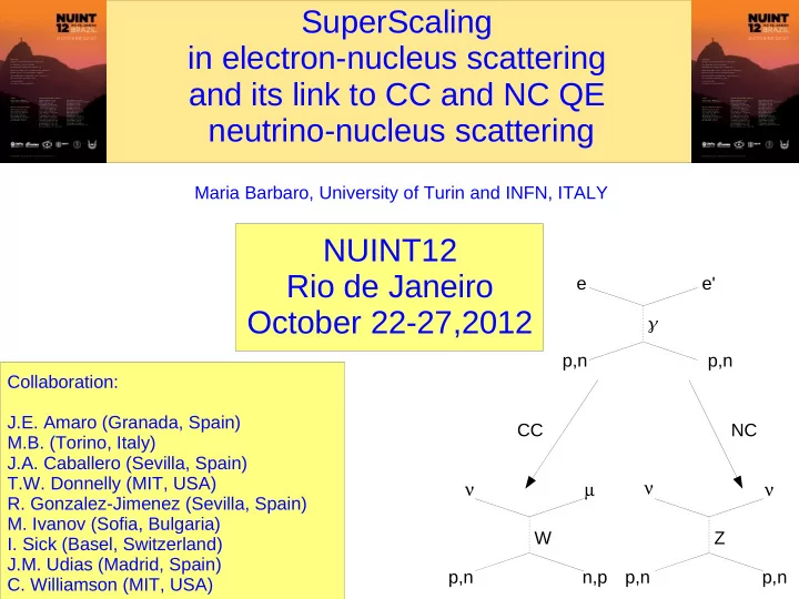 maria barbaro university of turin and infn italy nuint12