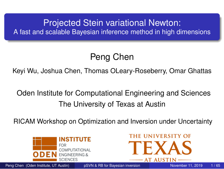 projected stein variational newton