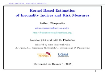Kernel Based Estimation  of Inequality Indices and Risk Measures  Arthur Charpentier