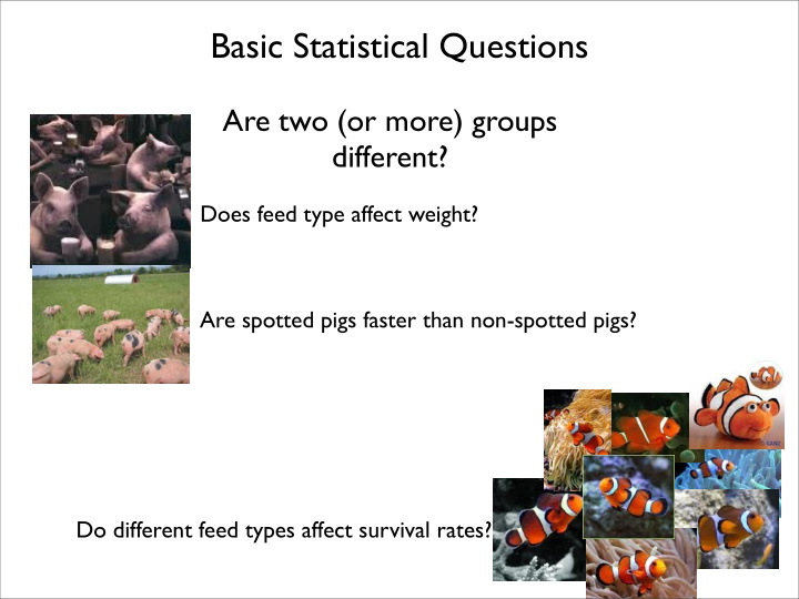 basic statistical questions