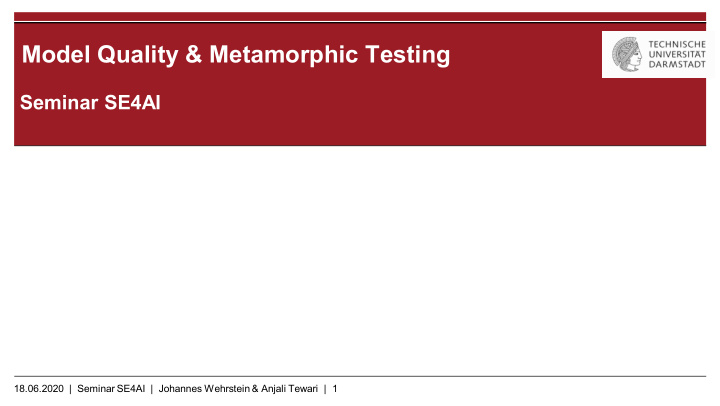 model quality metamorphic testing