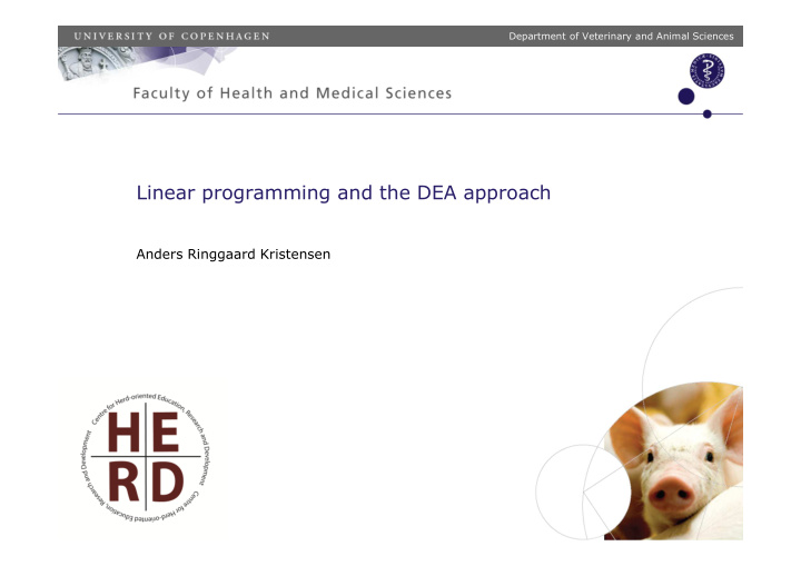linear programming and the dea approach
