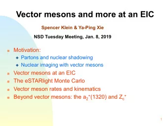 Vector mesons and more at an EIC  Spencer Klein &amp; Ya-Ping Xie  NSD Tuesday Meeting, Jan. 8,