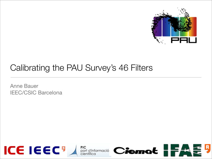 calibrating the pau survey s 46 filters